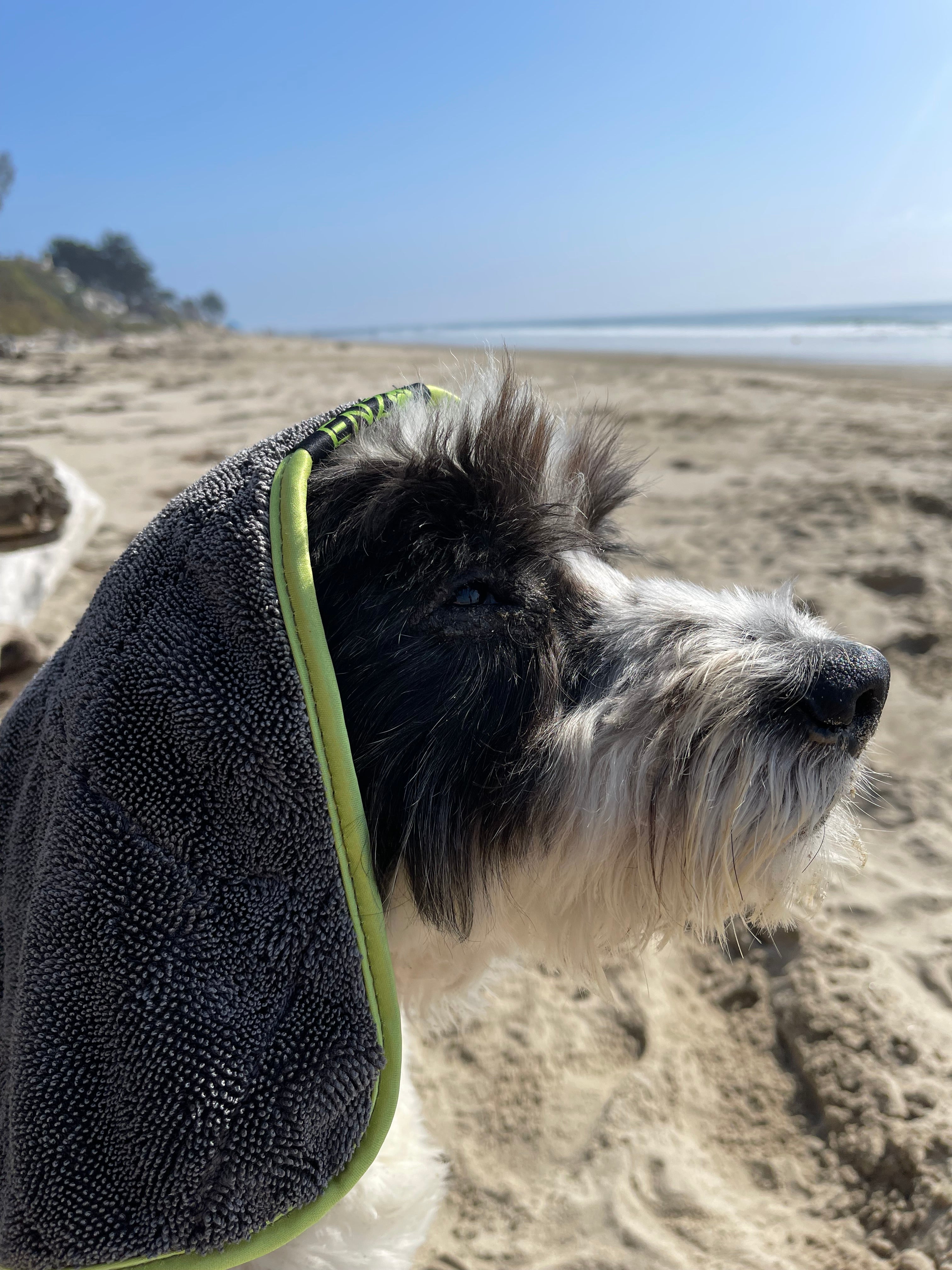 World's Best Dog Towel