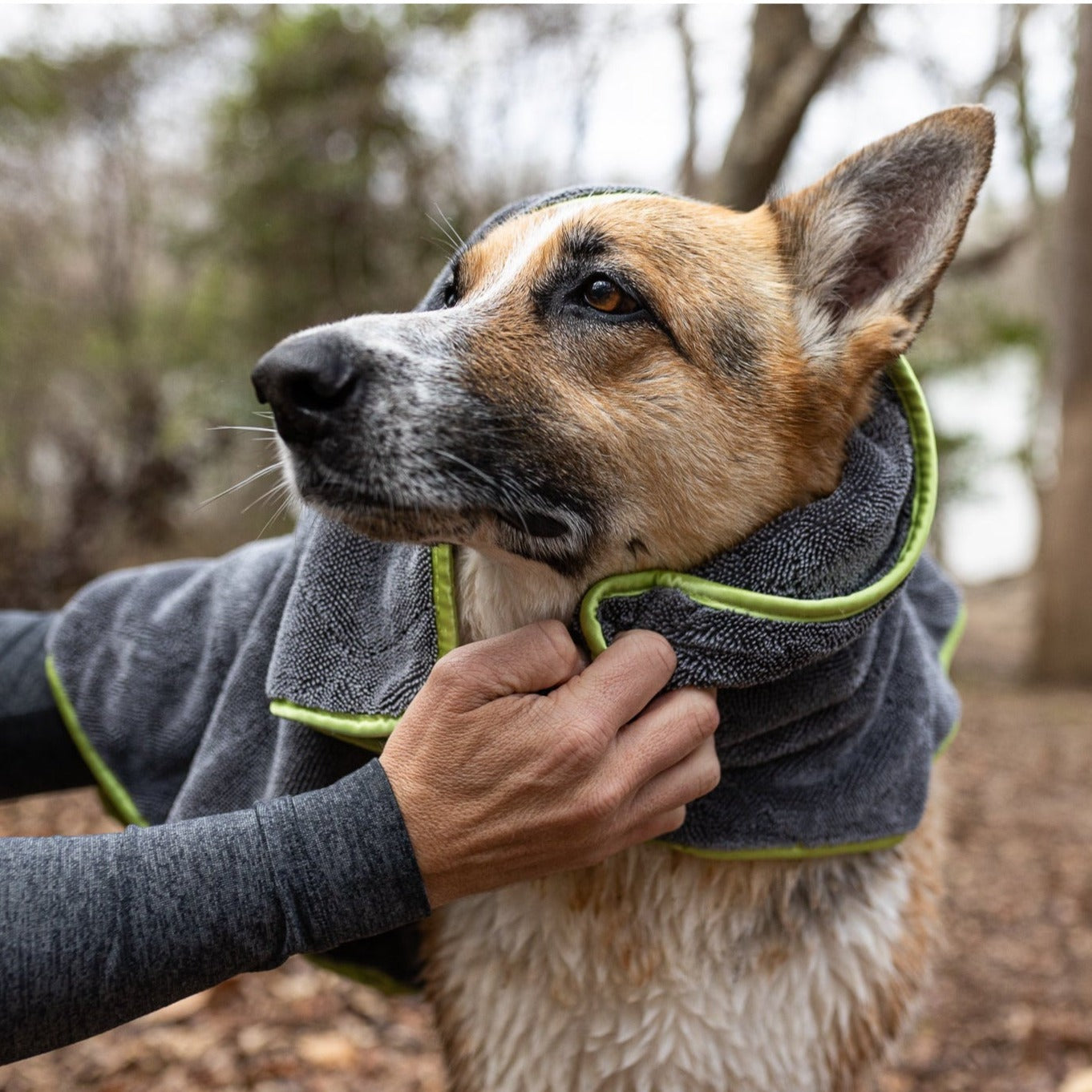 Best Dog Towel