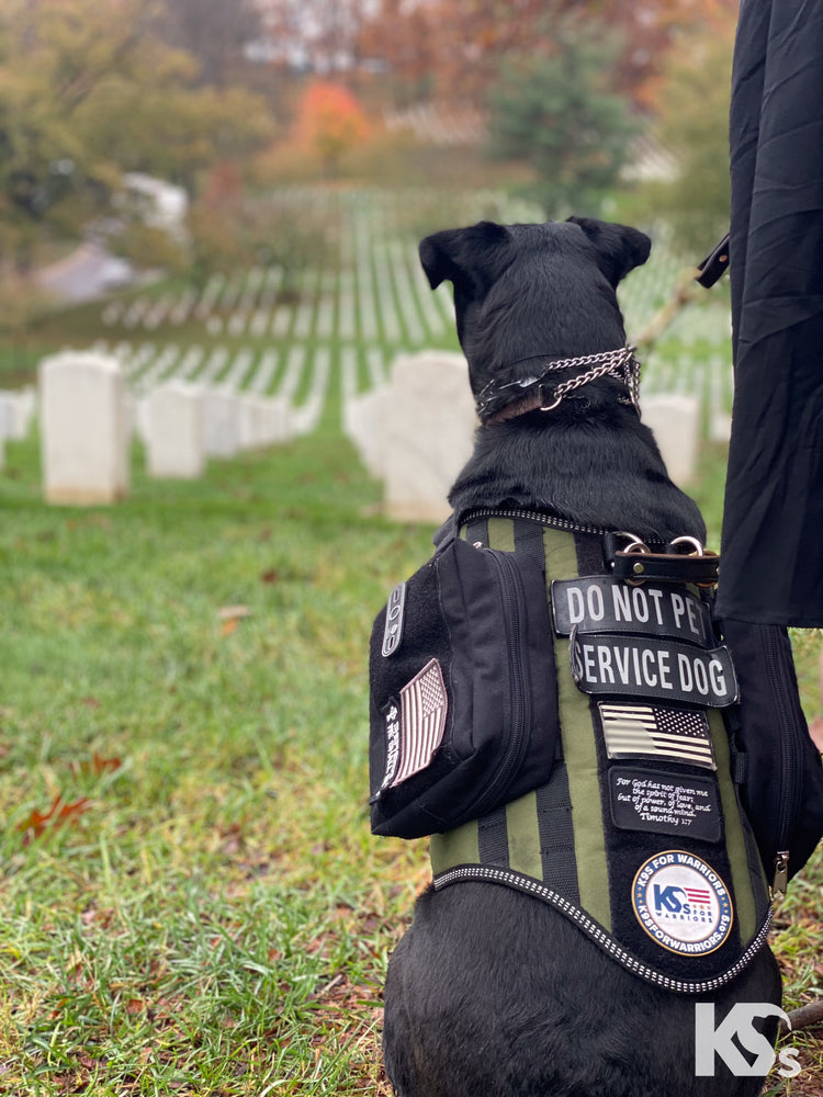 Enzo Pet Supply Proudly Supports K9s For Warriors- To end Veteran Suicide